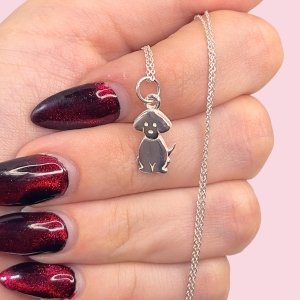 Cadena Rolo Espejado Fino y Dije Perrito Sentado de Plata 925